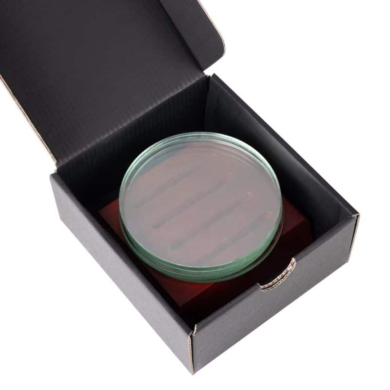 Barnaby VividPrint? Coasters - Set of 4 on Rosewood - 1